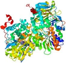 MonoamineOxidase-1GOS.png