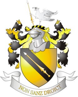 Family arms, granted in 1596