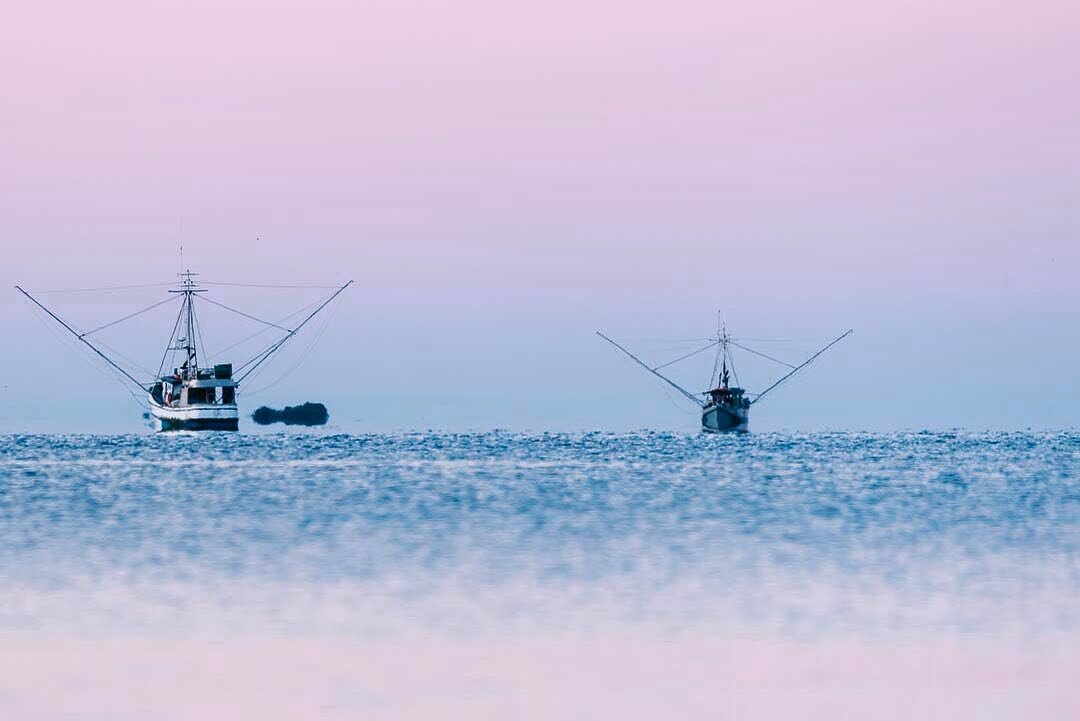 That moment between a perfect sea and sky. 🌅

PC - @rafe_hanson 

#redskiesatnight #blushing #oceanscapes #epicviews #fishinglife #alaskagoldseafood #sitkaalaska #exploremoreoutdoors #wildplaces #alaska