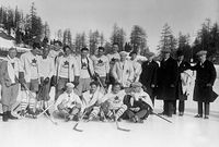 Hockey players and fans celebrating