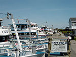 Captree state park NY docks.jpg