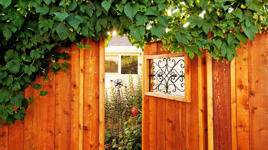 A redwood garden fence