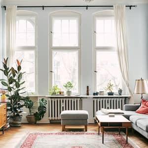 Interior of a living room with plants and furniture