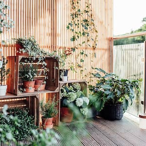 A balcony with many plants