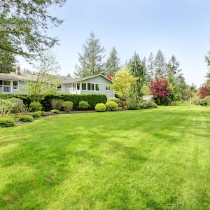 house with large green backyard