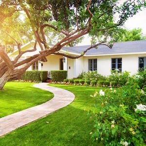 a one-story white house with sun shining through large tree, winding sidewalk, and green grass