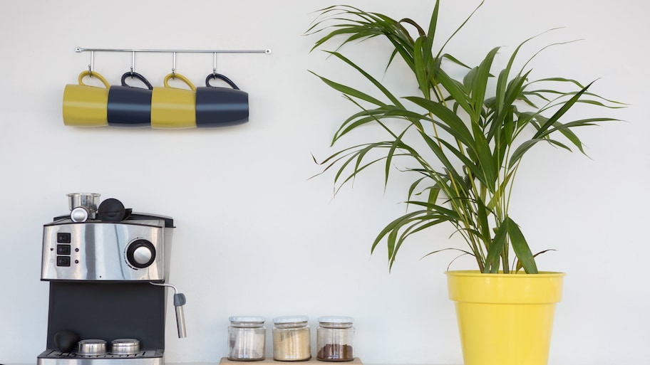 Coffee mugs hanging above espresso machine 