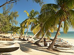 Beach in Madagascar with pirogues and palm trees.jpg