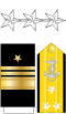 US Navy O9 insignia.svg