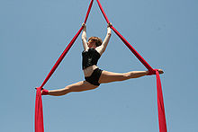 AerialShowgirlsTissu1.jpg