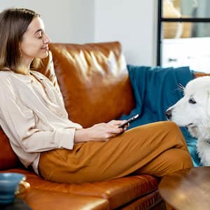 Woman sitting on leather sofa is looking at her dog