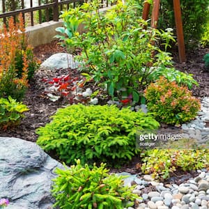 A landscaped backyard with flowers and pebbles