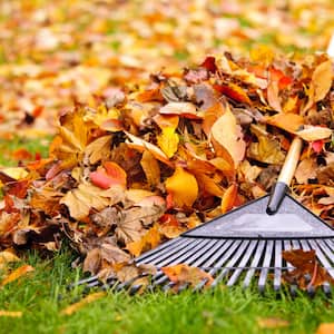 orange leaves in a pile on green grass with rake leaning on them