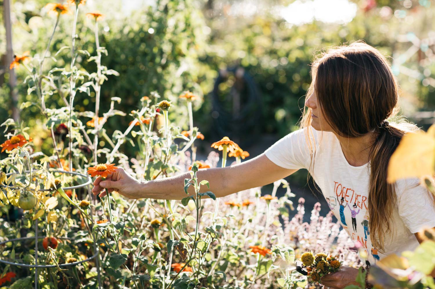 Woman picking flowers in field