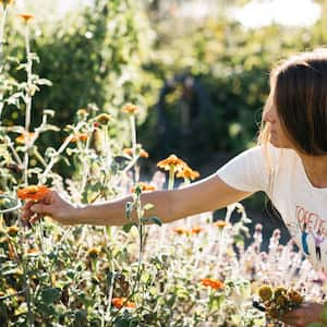 Woman picking flowers in field