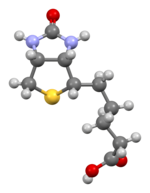 Ball-and-stick model of the Biotin molecule