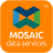 Mosaic Data Services