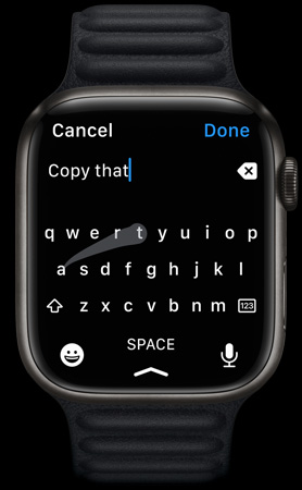 Apple Watch Series 7 Displaying QuickPath feature