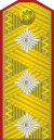 Bulgaria-Army-OF-8.svg