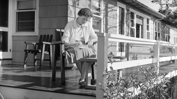 How Rachel Carson's 'Silent Spring' Galvanized the Environmental Movement