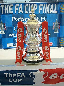 The FA Cup Trophy in 2008.jpg