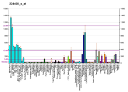 PBB GE CD44 204490 s at fs.png