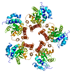 Protein PYCR1 PDB 2ger.png