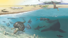 Fossils of Giant Whale-Like Creatures Called Ichthyosaurs Found in Swiss Alps