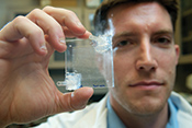 New technique for artificial lung manufacturing - Photo: Jason Miller