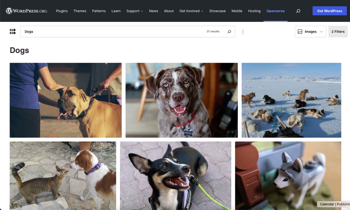 View of a search of dogs on Openverse.