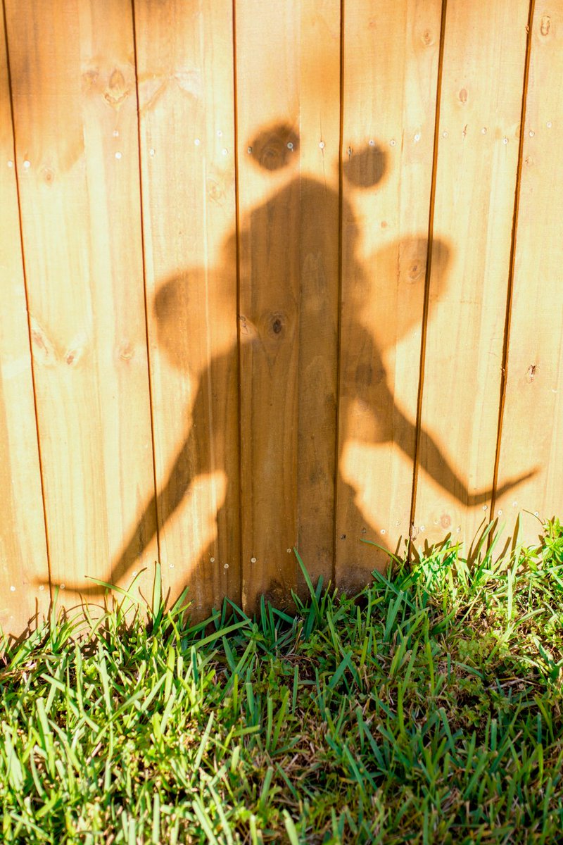 Shadow of a girl dressed as a fairy on a fence.