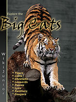 Wikijunior bigcats frontpag.jpg