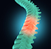 Spinal Cord Injury icon