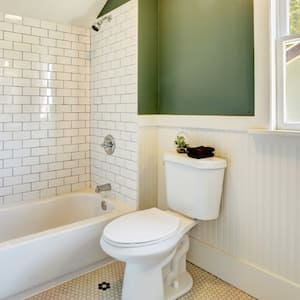 green and white bathroom interior