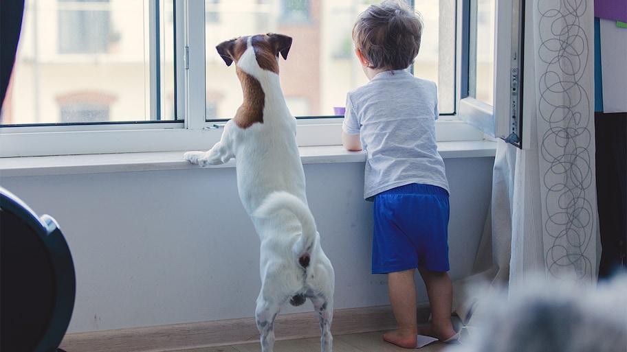 Boy and dog looking out window