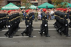 Парад войск - Troops parade (28583671843).jpg