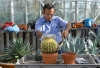 Gardener Santos repots a cactus