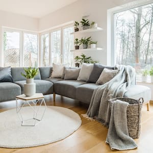 Fresh green plants in white living room interior