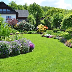 beautiful green front lawn