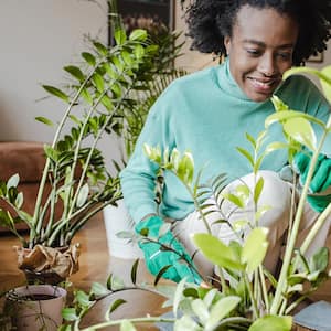 Woman home smiling houseplants