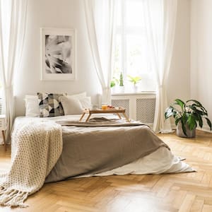 A large and sunny bedroom