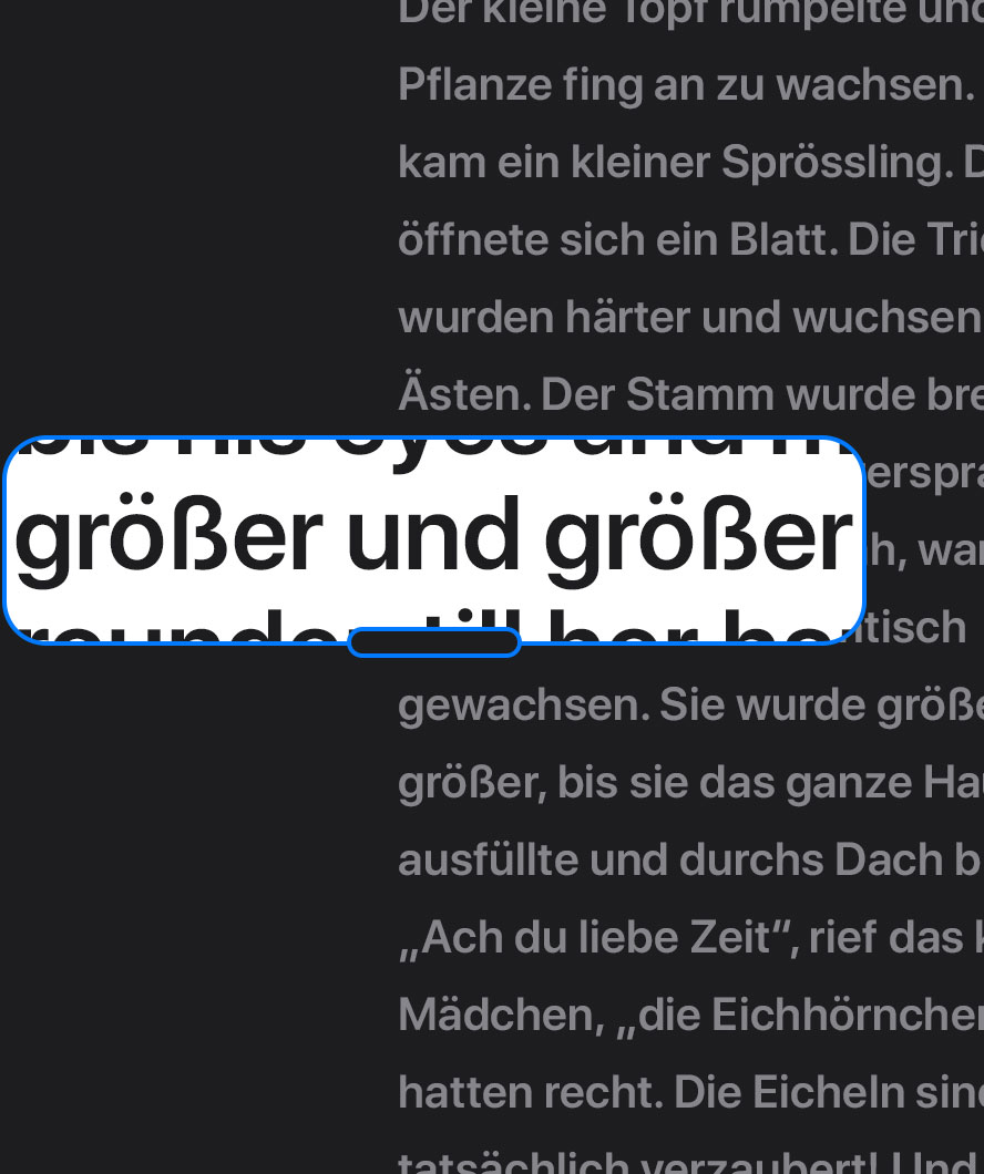 Mit der Zoomfunktion vergrößerter Text