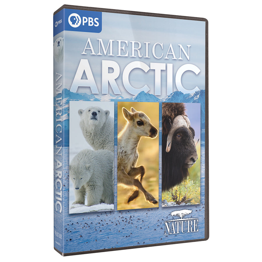 American Arctic