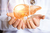 Accepting hepatitis C-positive liver transplants could improve life expectancy - Photo: ©iStock/Natali_Mis