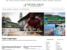 Mongabay