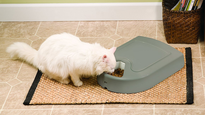 Petsafe automatic feeder