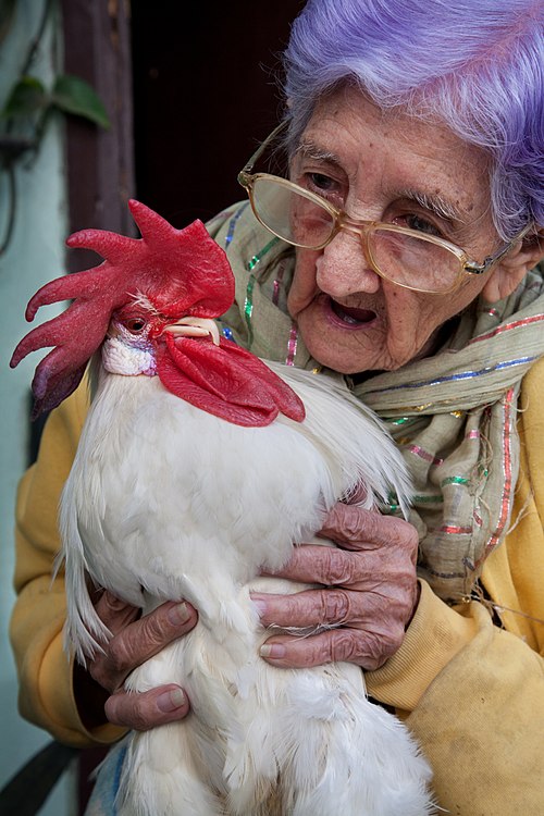 A 95 year old woman with her pet rooster, Havana, Cuba.jpg