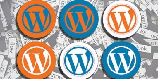 Wordpress plugin vulnerability