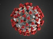 2019 Novel Coronavirus (2019-nCoV), portrayed in an illustration created at the CDC. ALISSA ECKERT, MS; DAN HIGGINS, MAM