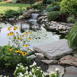  Backyard with a big koi pond